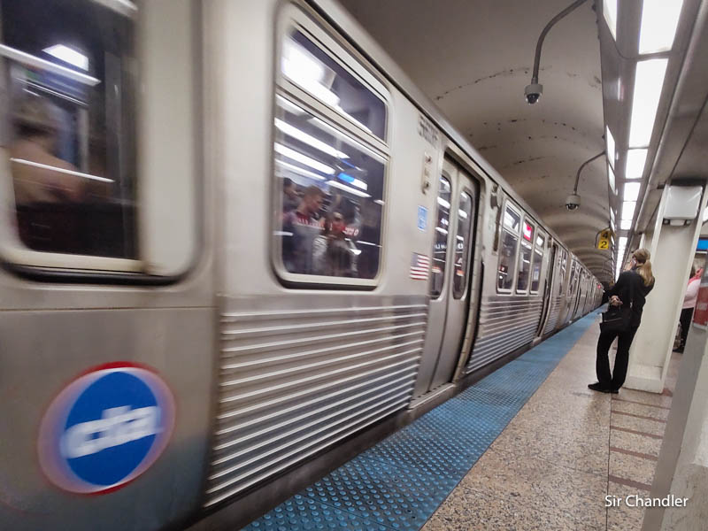 se permiten perros en los trenes del metro de chicago