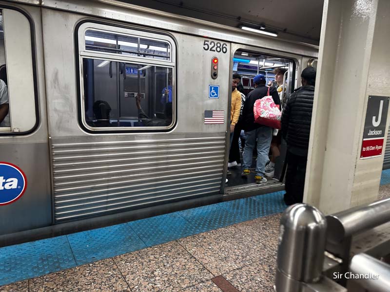 se permiten perros en los trenes del metro de chicago